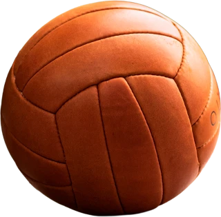 Lederball